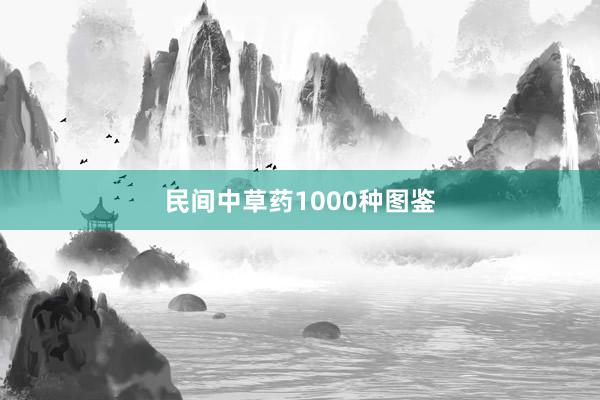 民间中草药1000种图鉴
